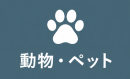 ペット