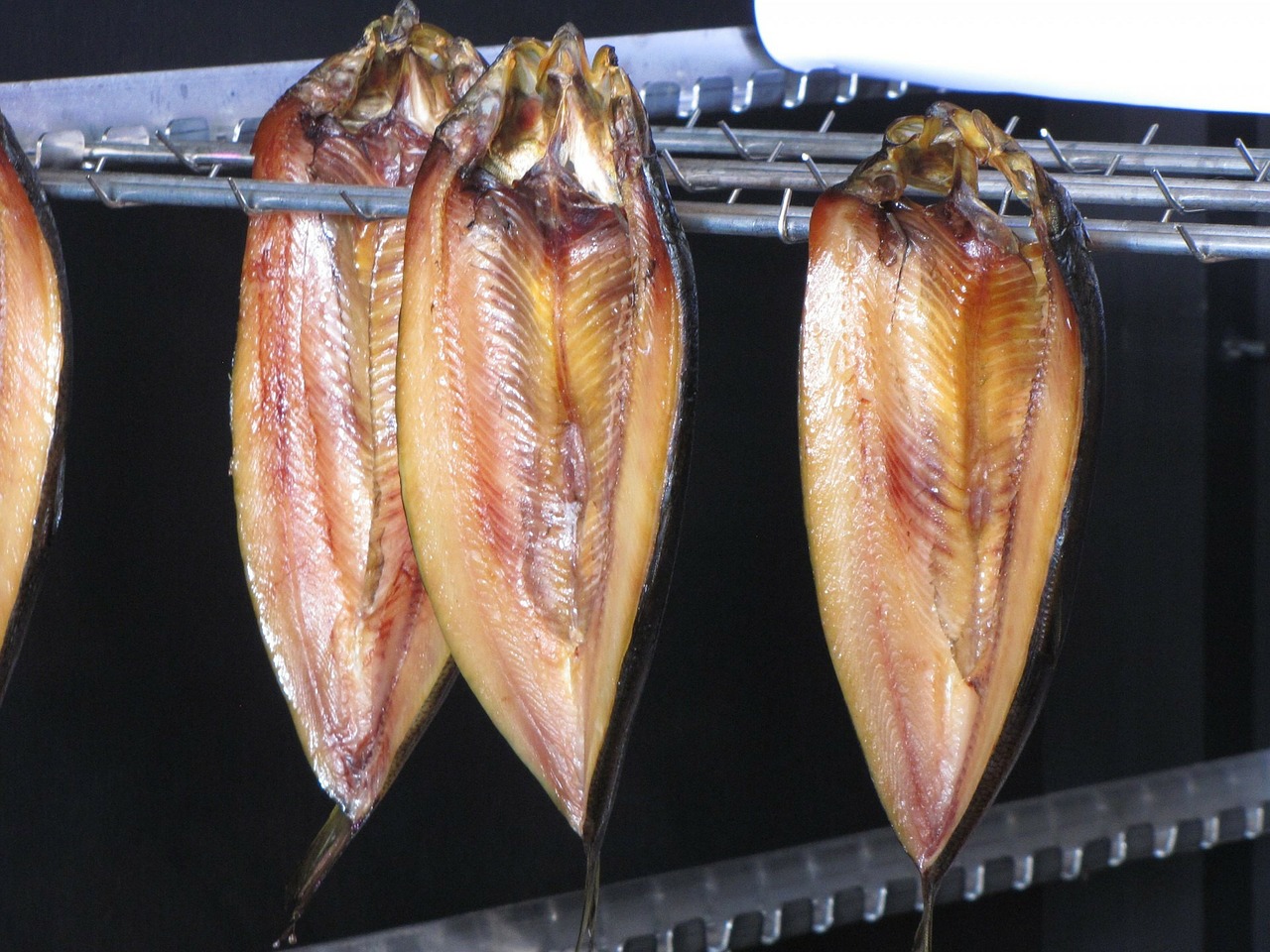 青みの魚を食べることの重要性を改めて見直しませんか？